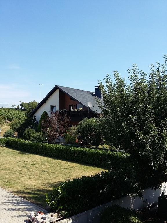 Ferienhaus "Anne" Und Weingut Willi Fett Hotel Ellenz-Poltersdorf Ruang foto