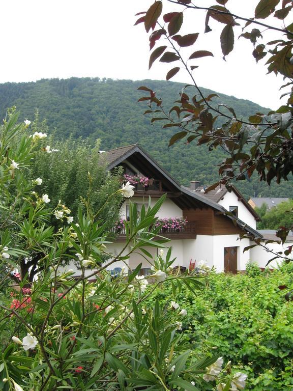 Ferienhaus "Anne" Und Weingut Willi Fett Hotel Ellenz-Poltersdorf Bagian luar foto